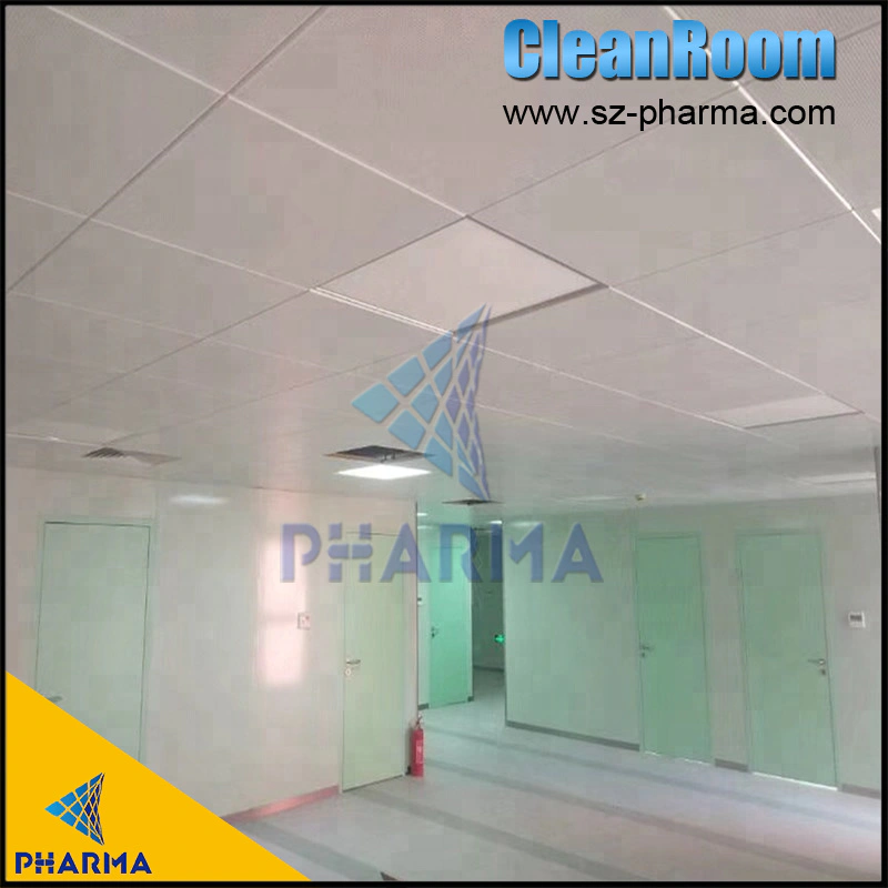 Filling Production Work Clean Room Professional Design